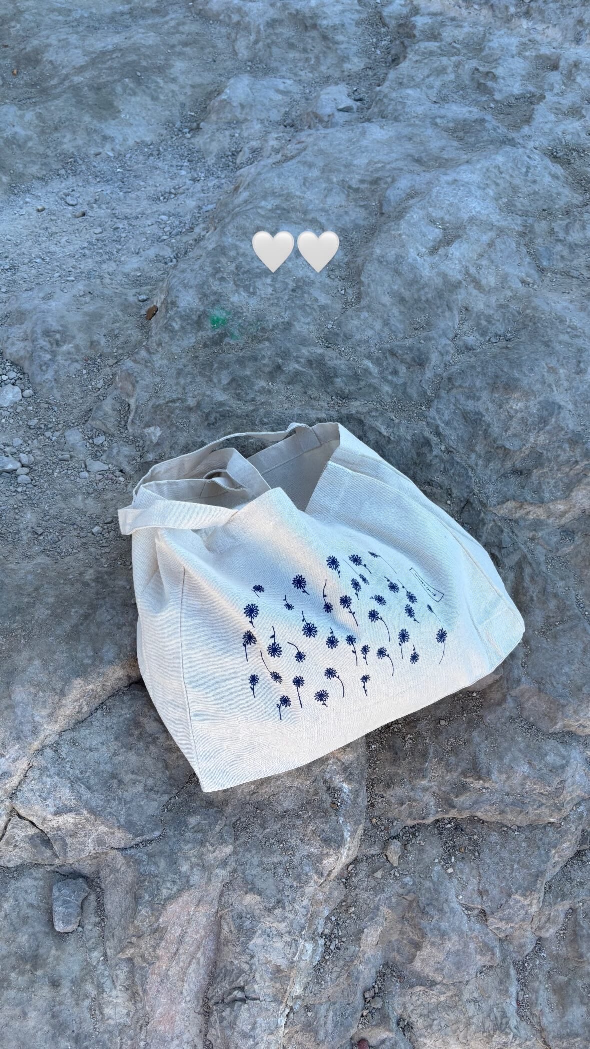 WH - Large Biches & Bûches tote bag - Image 4